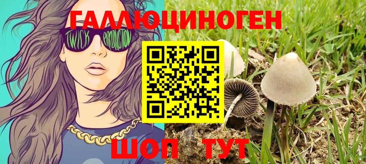 Галлюциногенные грибы ЛСД  Вход с VPN  Псилоцибиновые грибы мицелий  Карачаевск 