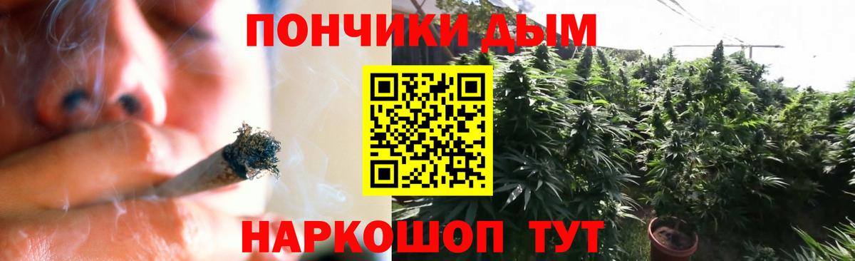 Бошки Шишки план Карачаевск